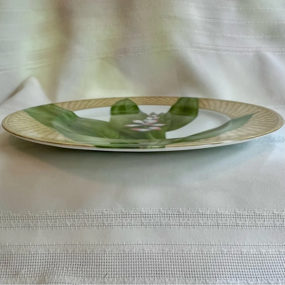 TWO Dinner Plates 222 FIFTH‎ Rain Forest Porcelain Discontinued EUC